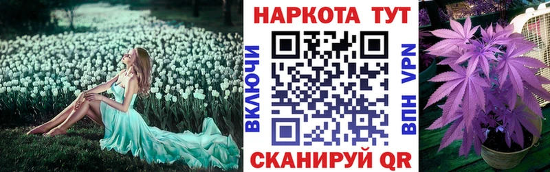 Купить наркотики Новокузнецк Амфетамин  СОЛЬ  Метадон  КОКАИН  Бошки Шишки 