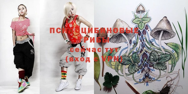 спиды Лабытнанги