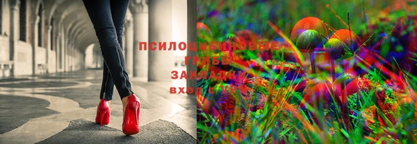 спиды Лабытнанги