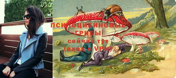 спиды Лабытнанги